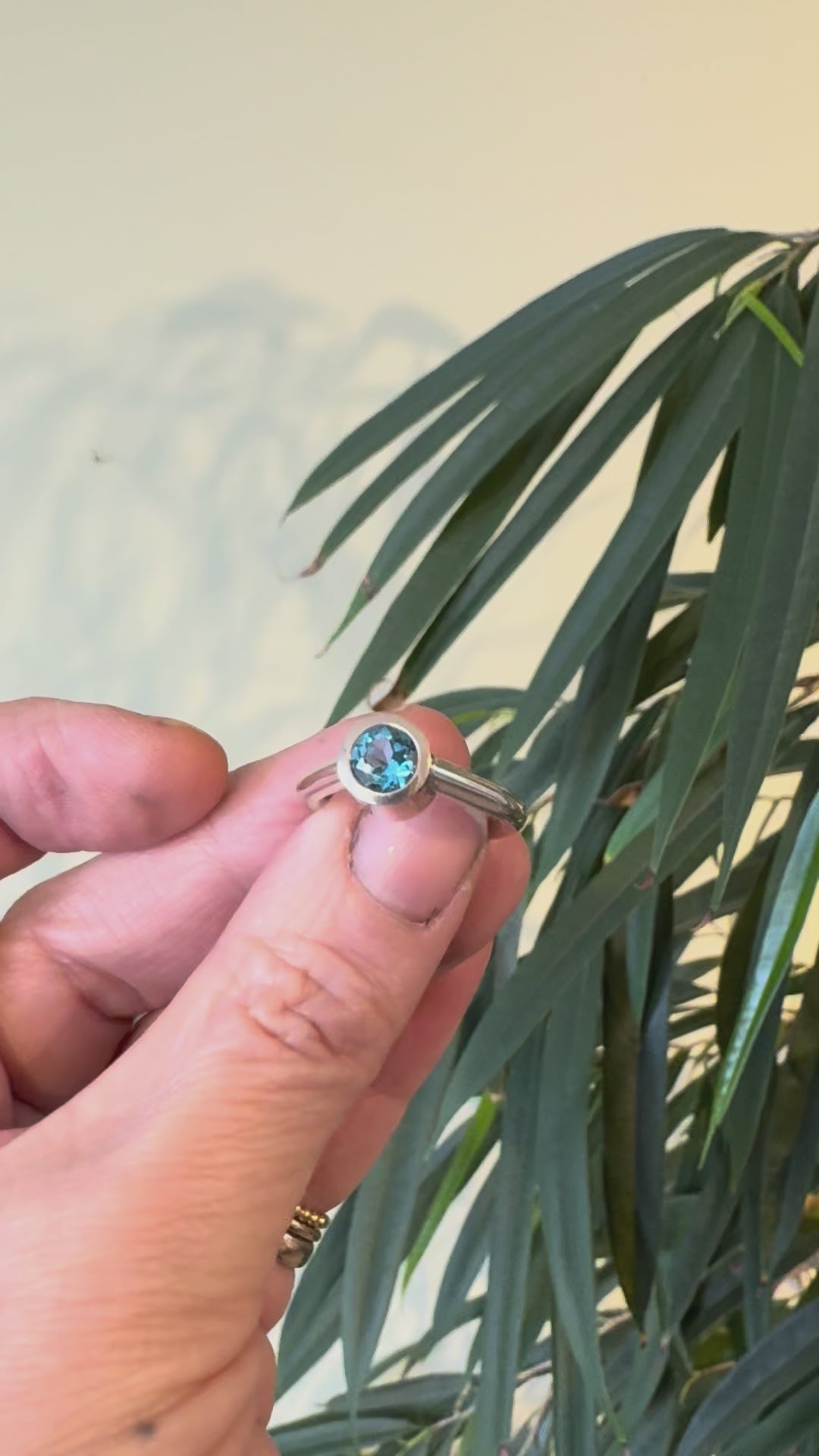 Ballong ringen Topas